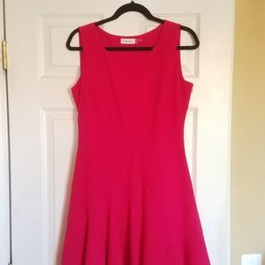 Calvin Klien Work Dress